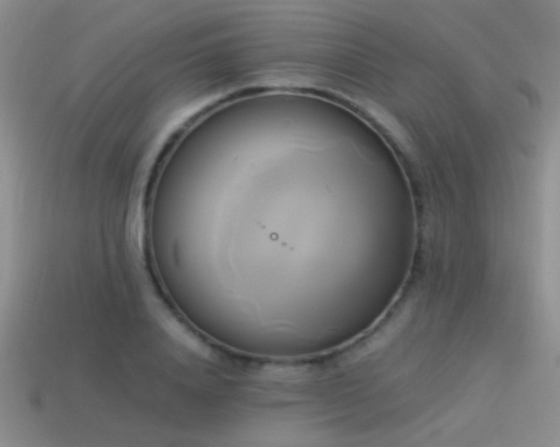 X0000114150840200910151542