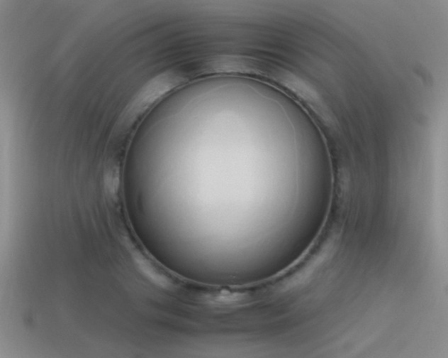 X0000114150841200910151542