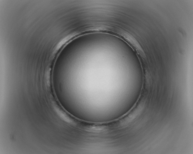 X0000114150842200910151542