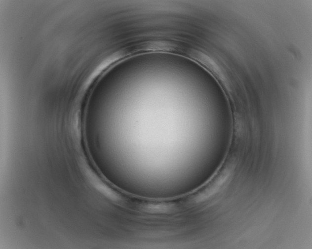 X0000114150843200910151542