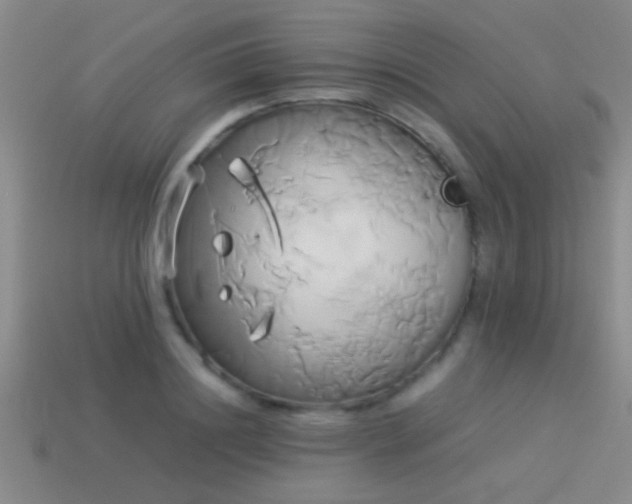 X0000114150844200910151542