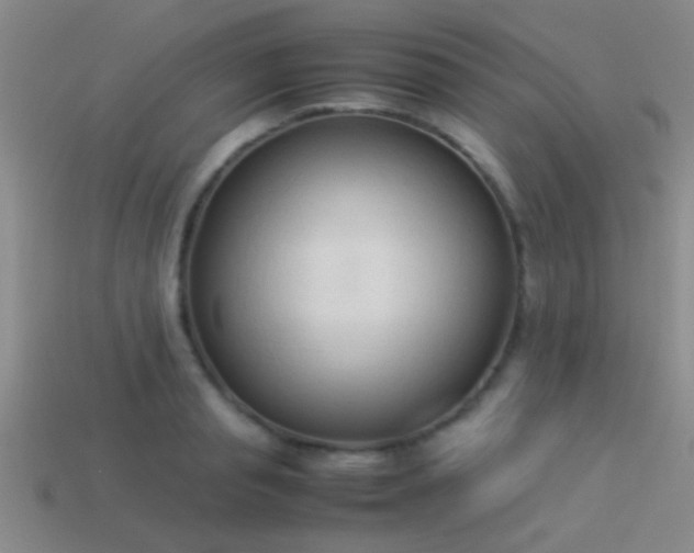 X0000114150845200910151542
