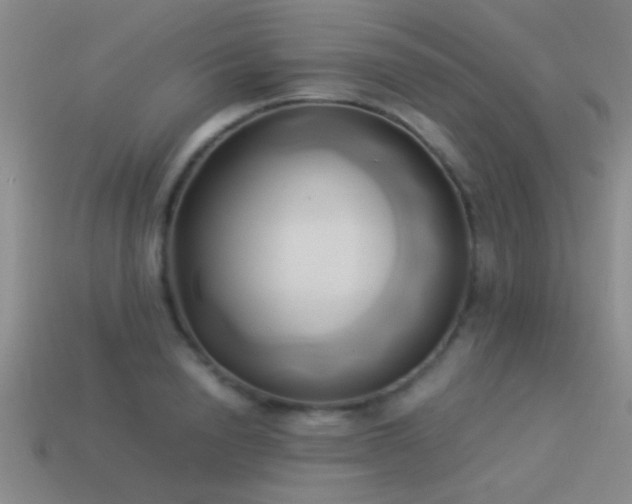 X0000114150846200910151542