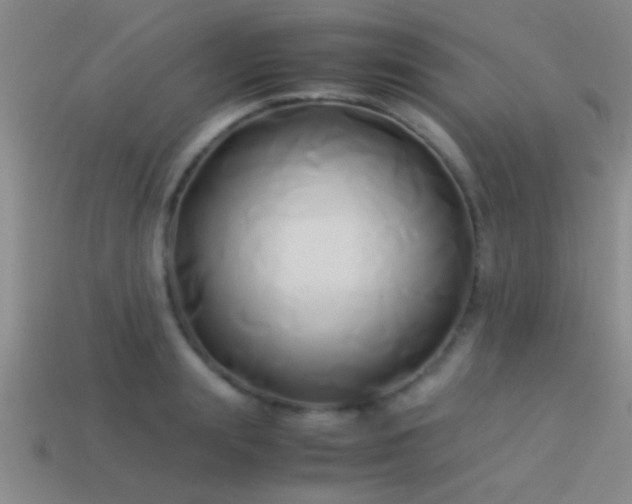 X0000114150847200910151542