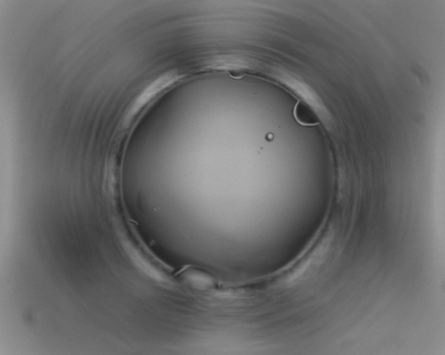 X0000114150850200910151542