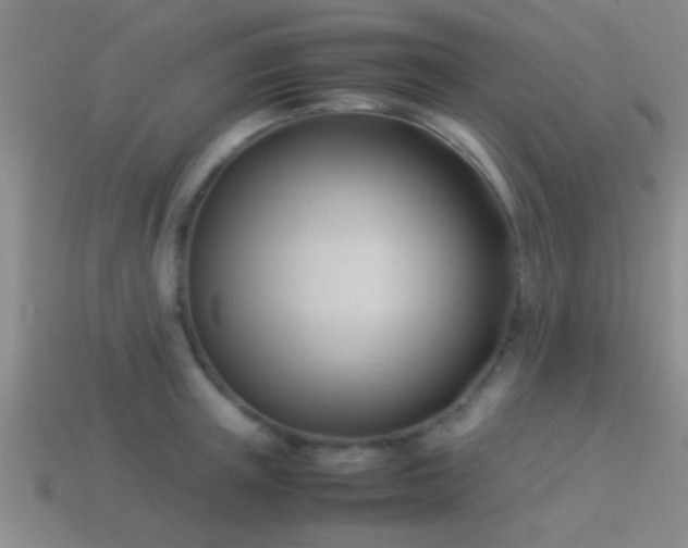 X0000114150851200910151542