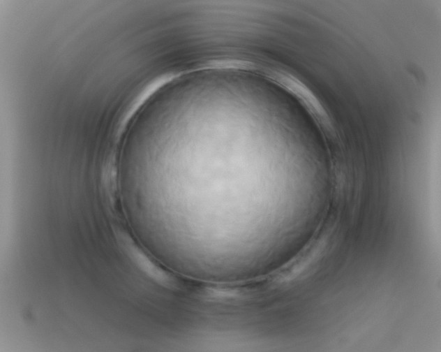 X0000114150852200910151542