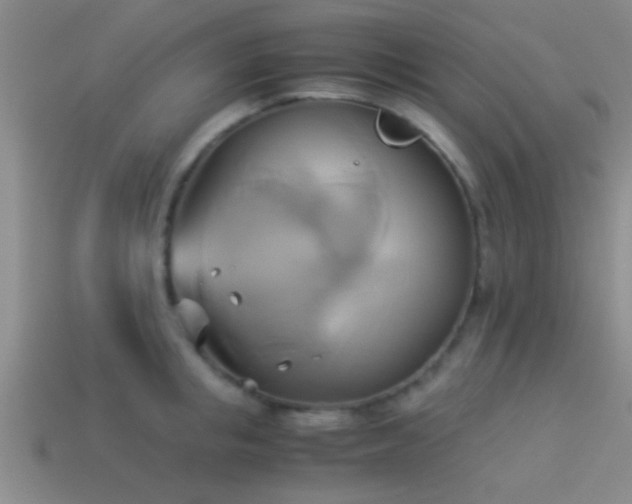 X0000114150853200910151542