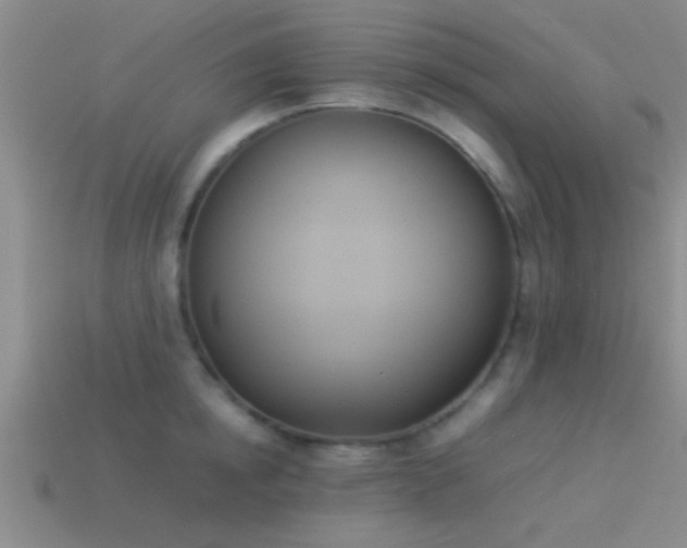 X0000114150854200910151543