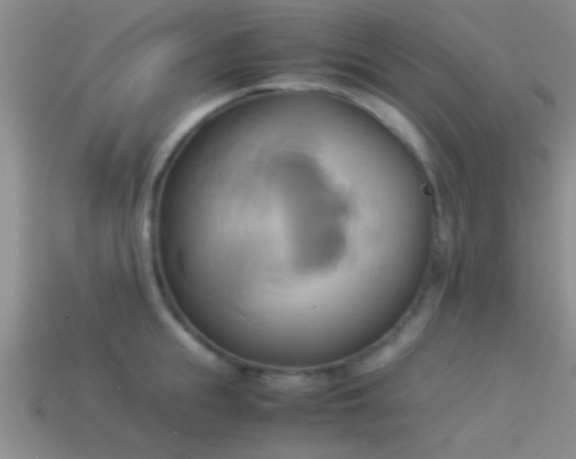 X0000114150855200910151543