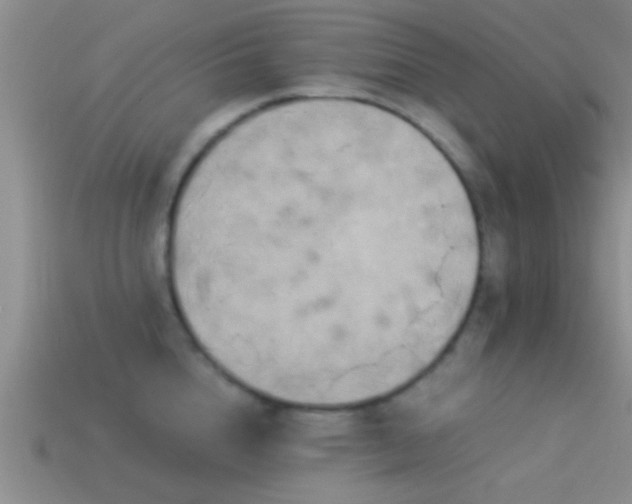 X0000114150856200910151543
