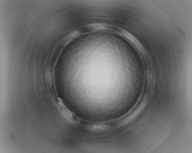 X0000114150857200910151543