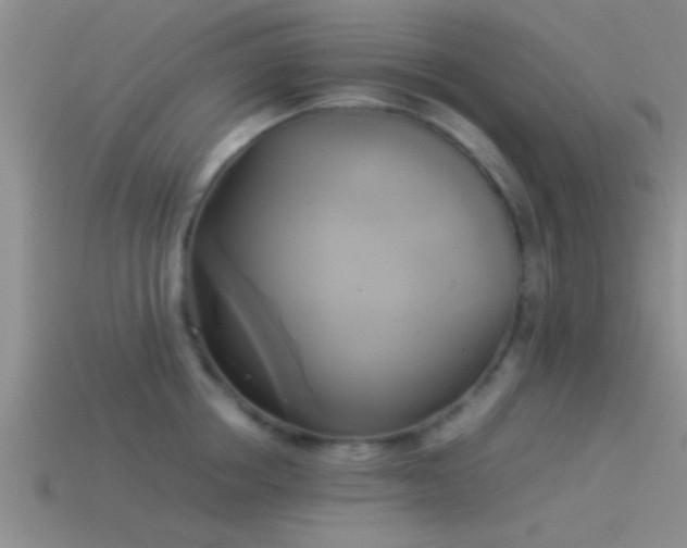 X0000114150858200910151543