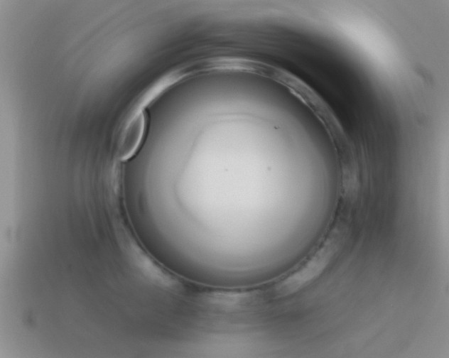 X0000114150860200910151543