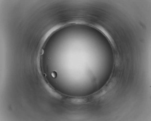 X0000114150861200910151543