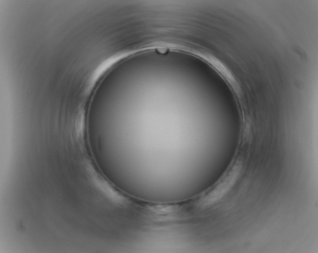 X0000114150862200910151543
