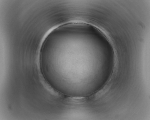 X0000114150864200910151543