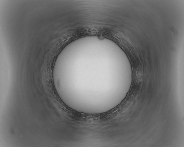 X0000114150865200910151542