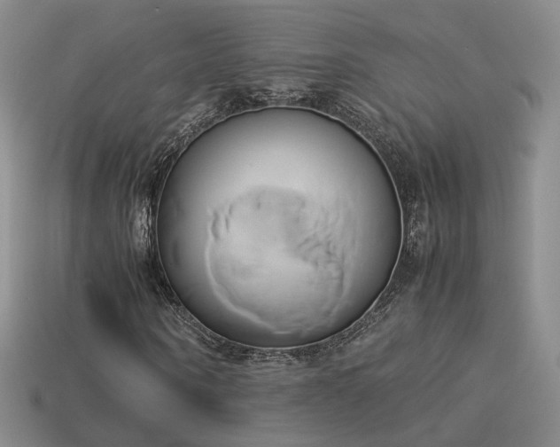 X0000114150866200910151542