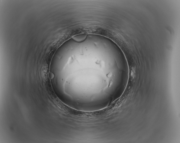 X0000114150867200910151542