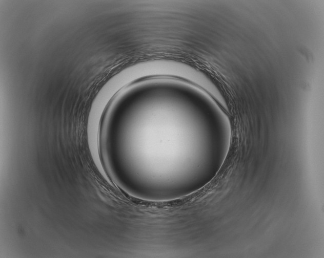X0000114150868200910151542