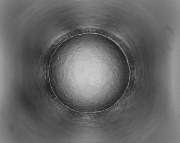 X0000114150870200910151542