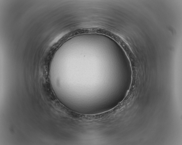 X0000114150871200910151542