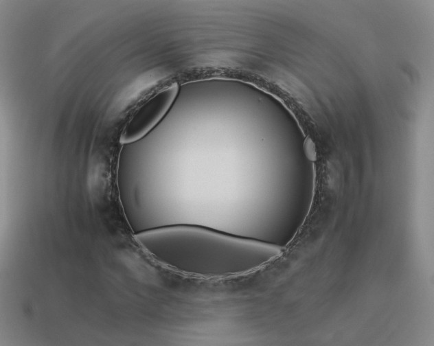 X0000114150872200910151542