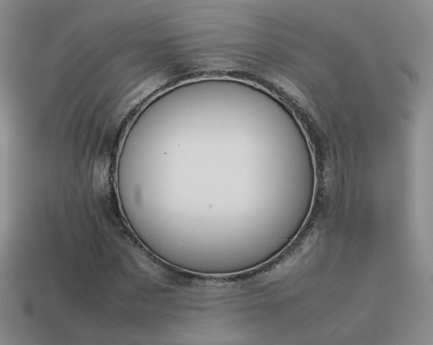 X0000114150873200910151542
