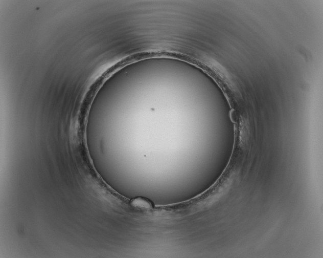 X0000114150876200910151542