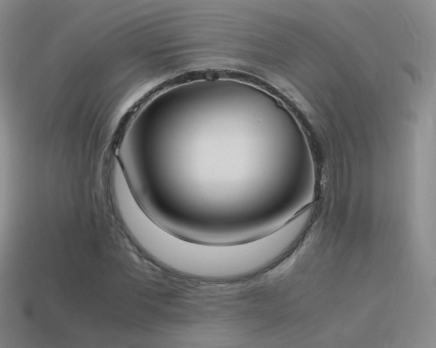 X0000114150877200910151542