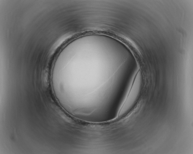 X0000114150878200910151542