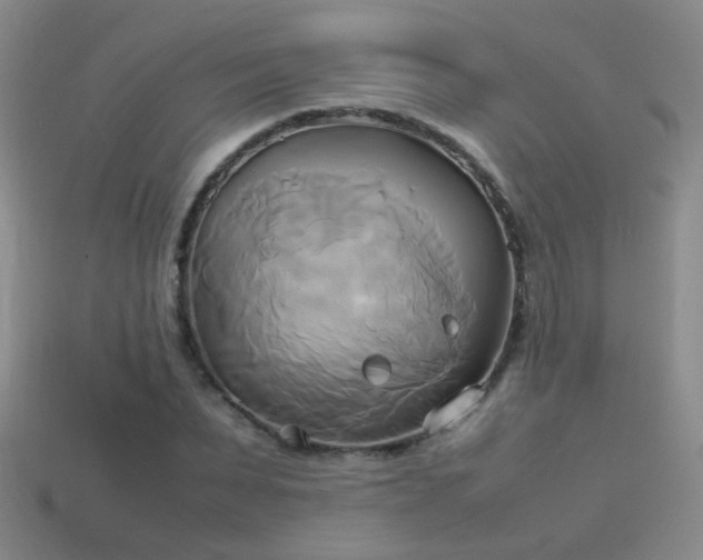 X0000114150879200910151542
