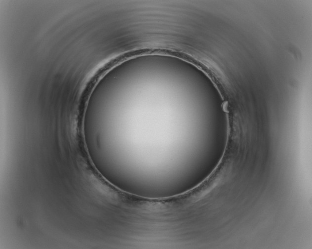 X0000114150880200910151542