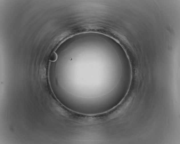 X0000114150881200910151542