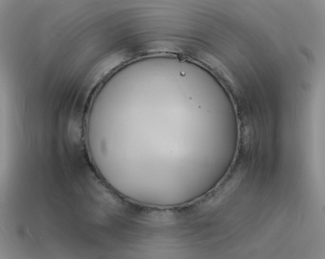 X0000114150882200910151542