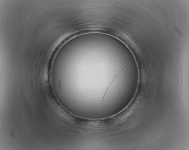 X0000114150883200910151542