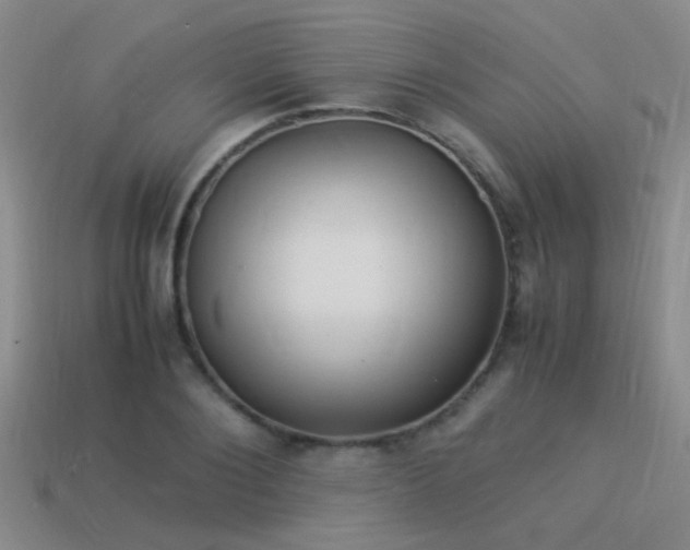X0000114150884200910151542
