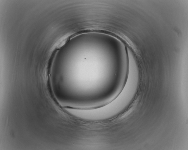 X0000114150885200910151542