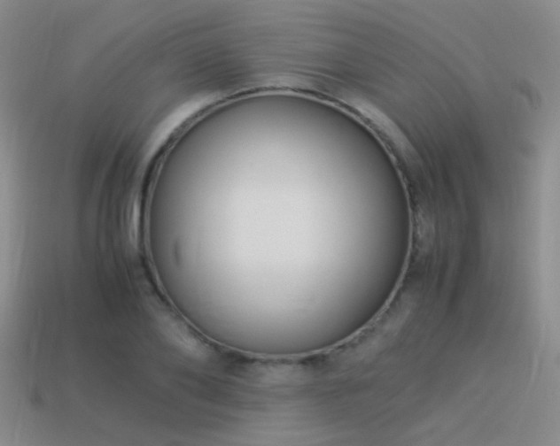 X0000114150886200910151542