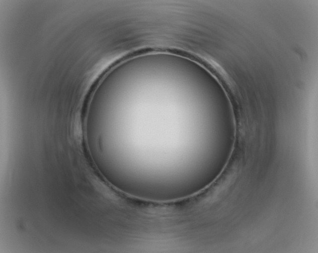 X0000114150887200910151542