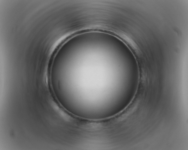 X0000114150888200910151542