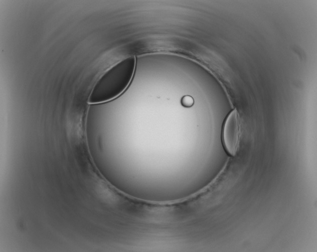 X0000114150889200910151542
