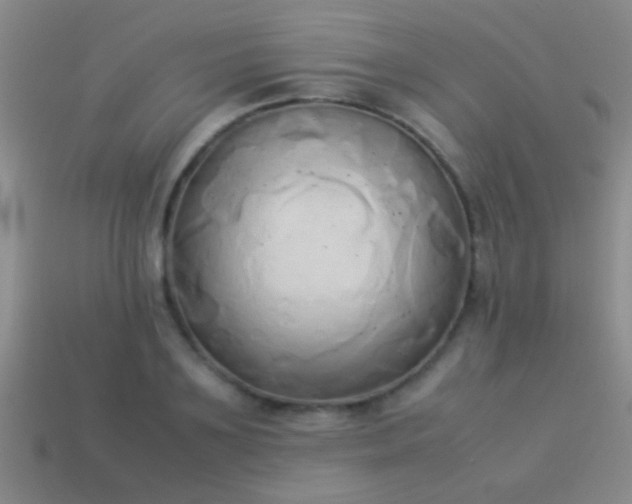X0000114150891200910151542
