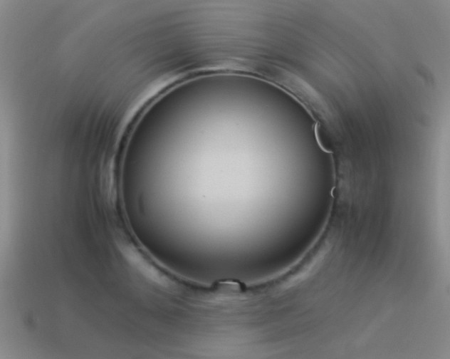 X0000114150892200910151542