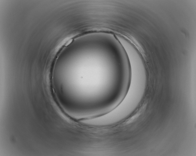 X0000114150893200910151542