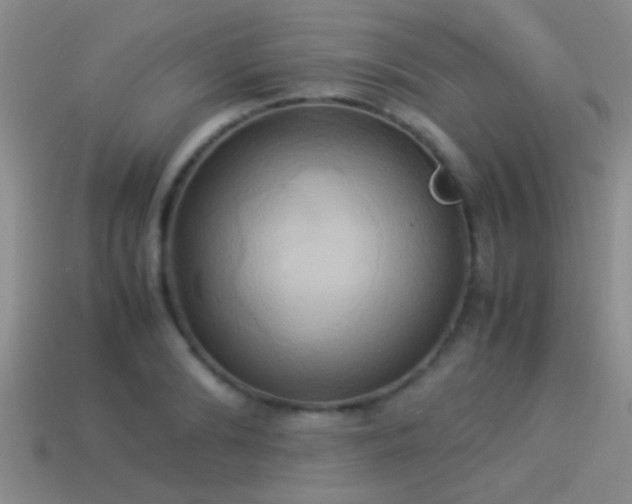 X0000114150894200910151542