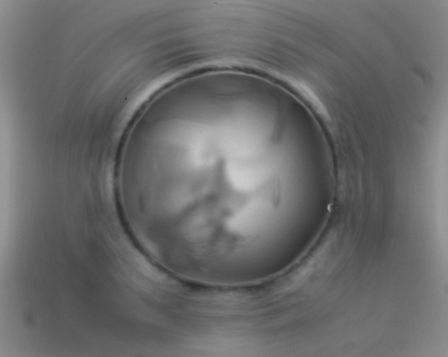 X0000114150895200910151542