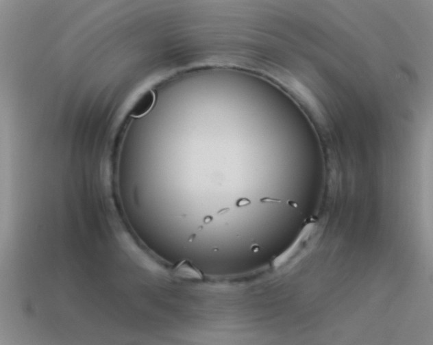 X0000114150896200910151542