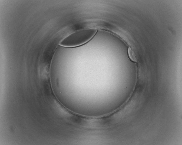 X0000114150897200910151542